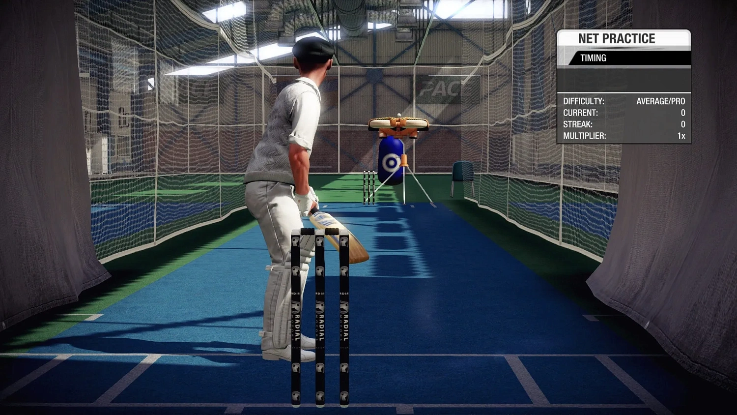 Don Bradman Cricket