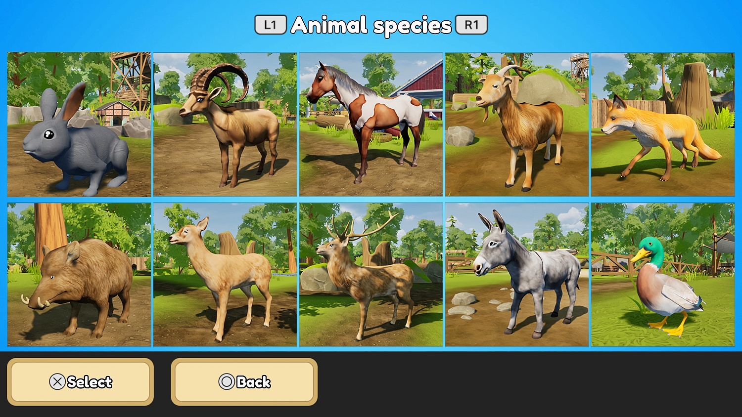 Sophia’s Animal Clinic - Mission Wildlife Park