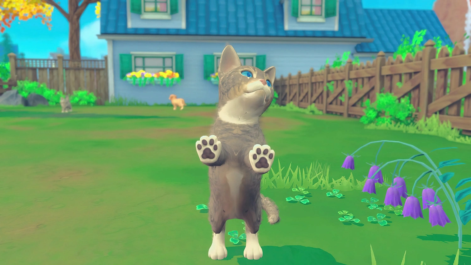 My Universe - Puppies & Kittens