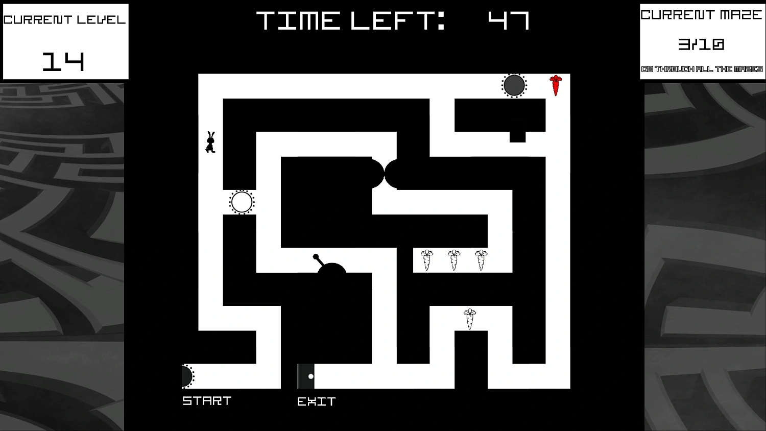 Bunny Mazes