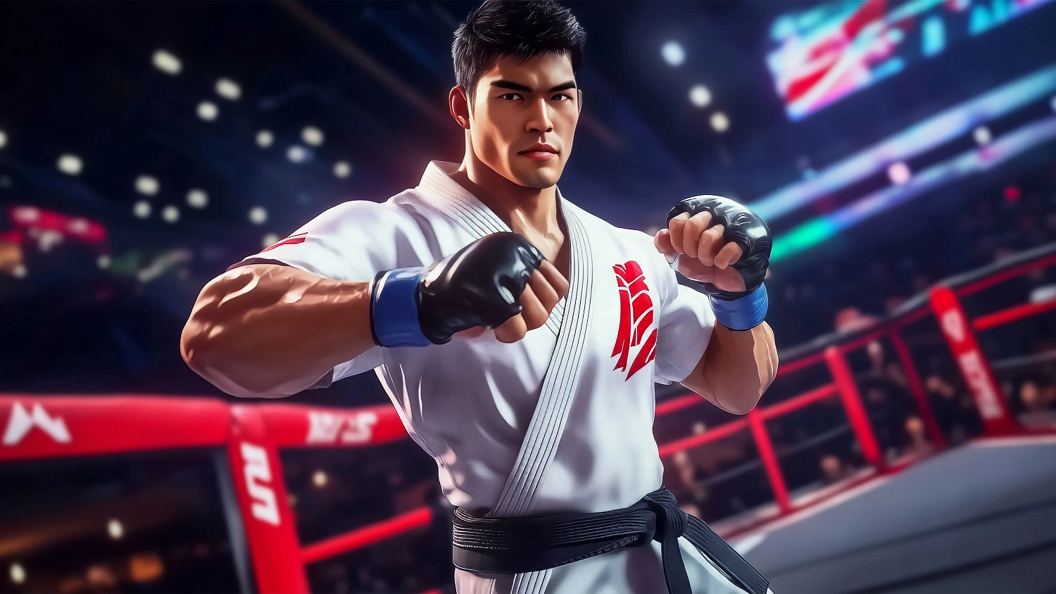 Street Combat: Ultimate MMA Fighters