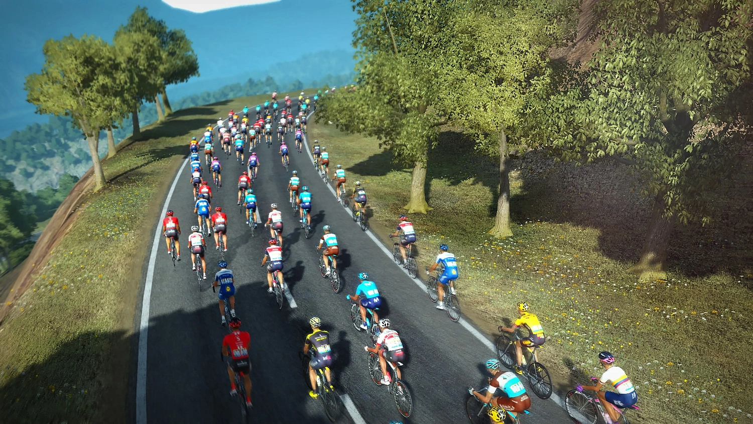 TOUR DE FRANCE 2020