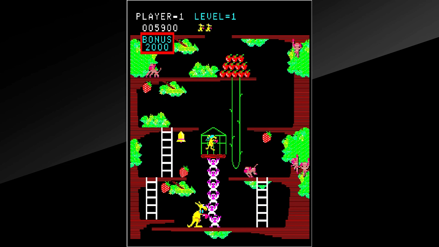 Arcade Archives Kangaroo