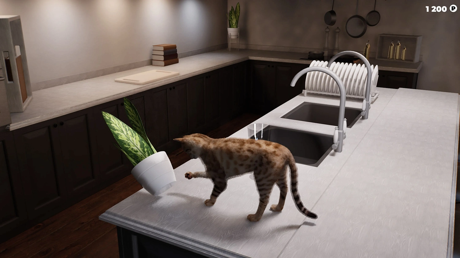 Cat Life Simulator