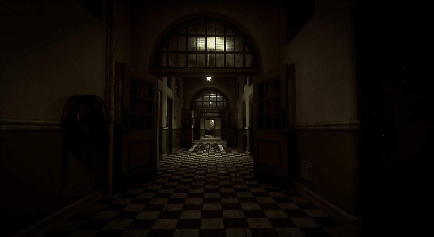 The Inpatient