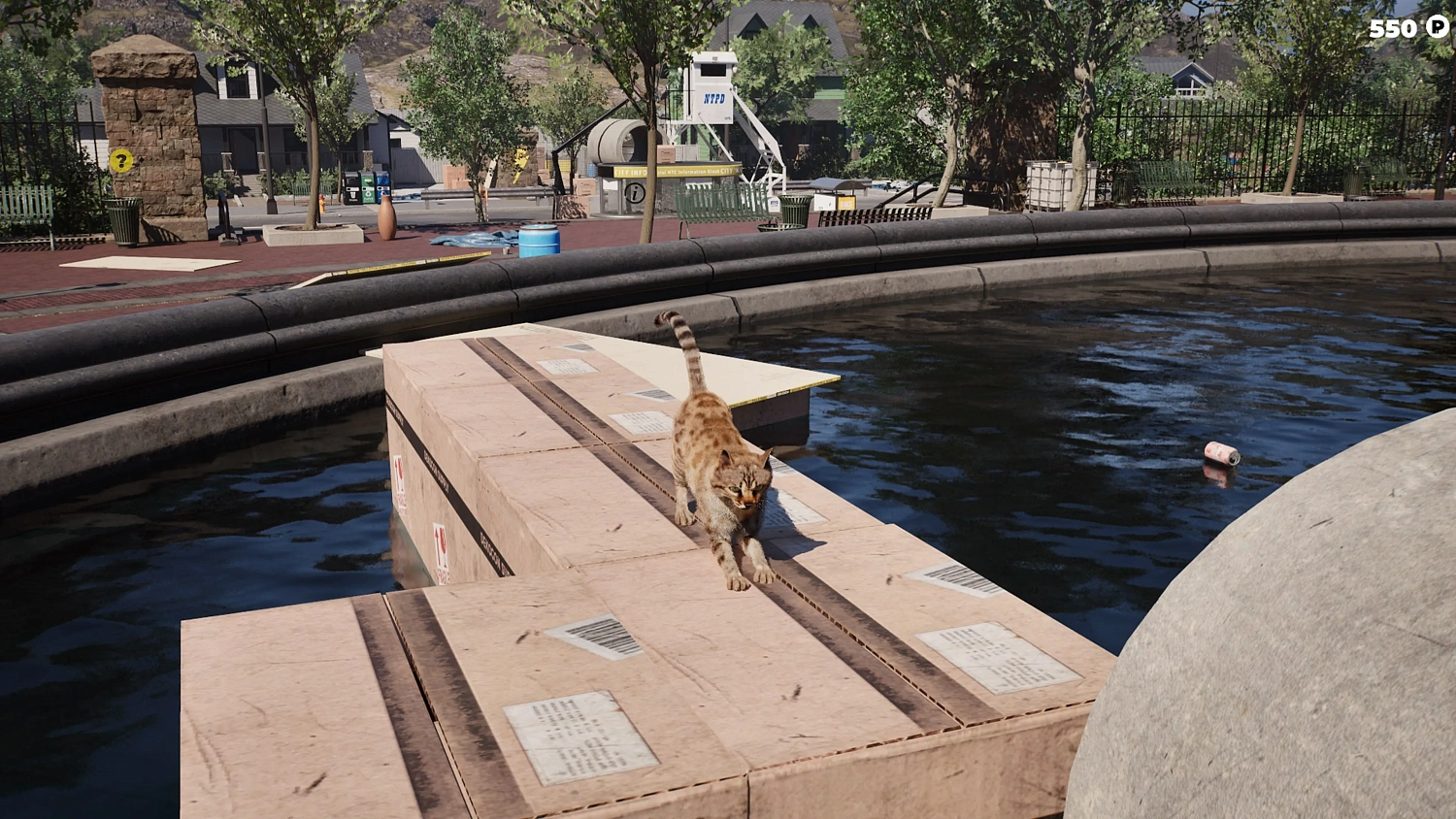 Cat Life Simulator