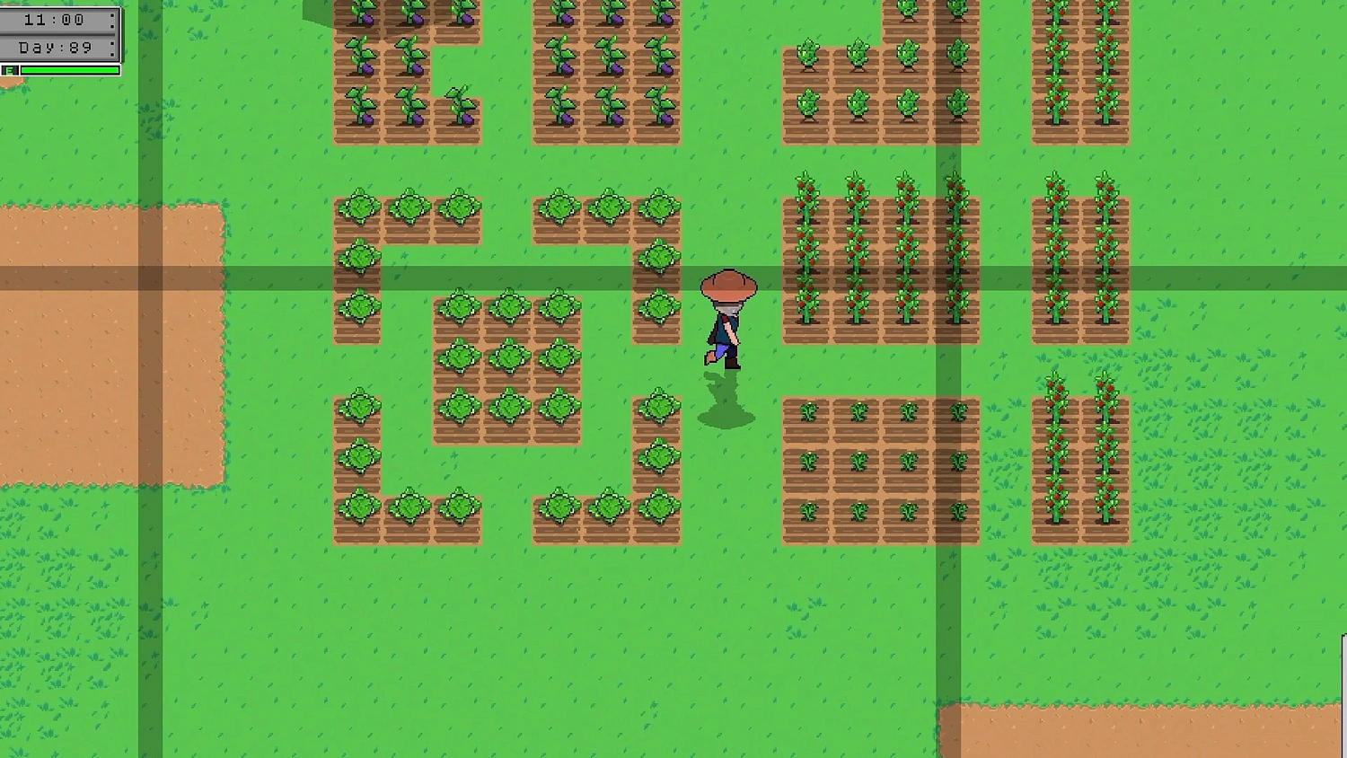 The Seed: Unit 7