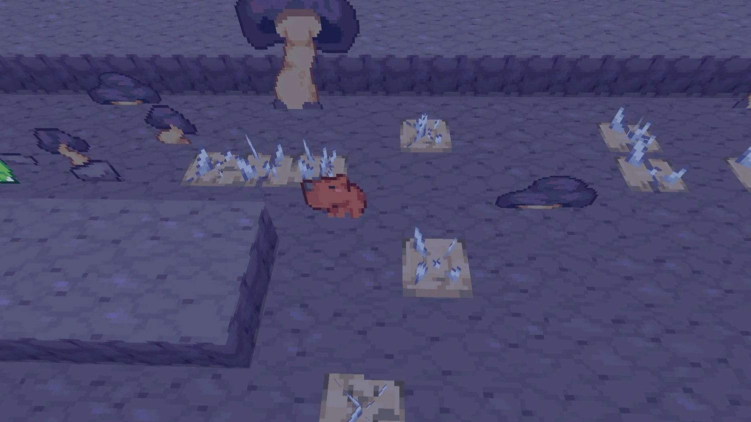 Capy’s Quest