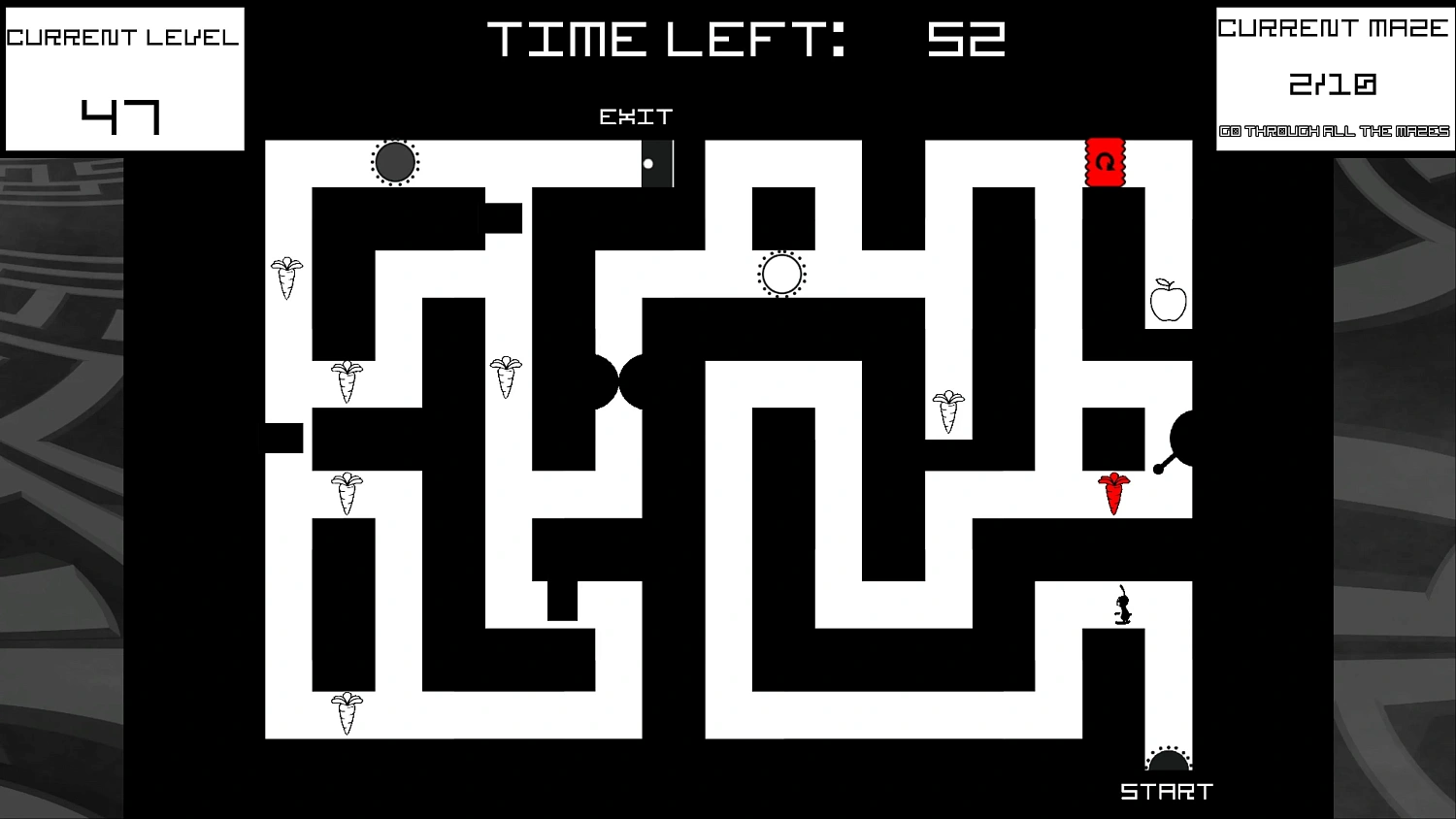 Bunny Mazes