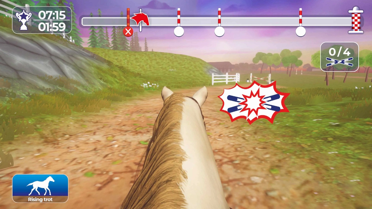 Equestrian Training