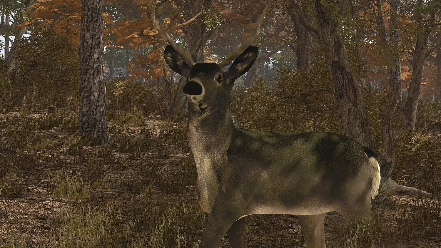 Pro Deer Hunting