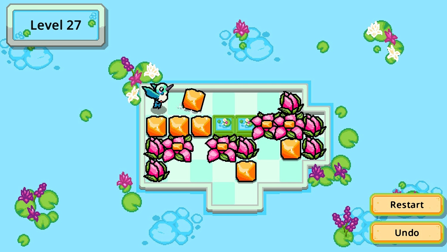 Hummingbird Garden
