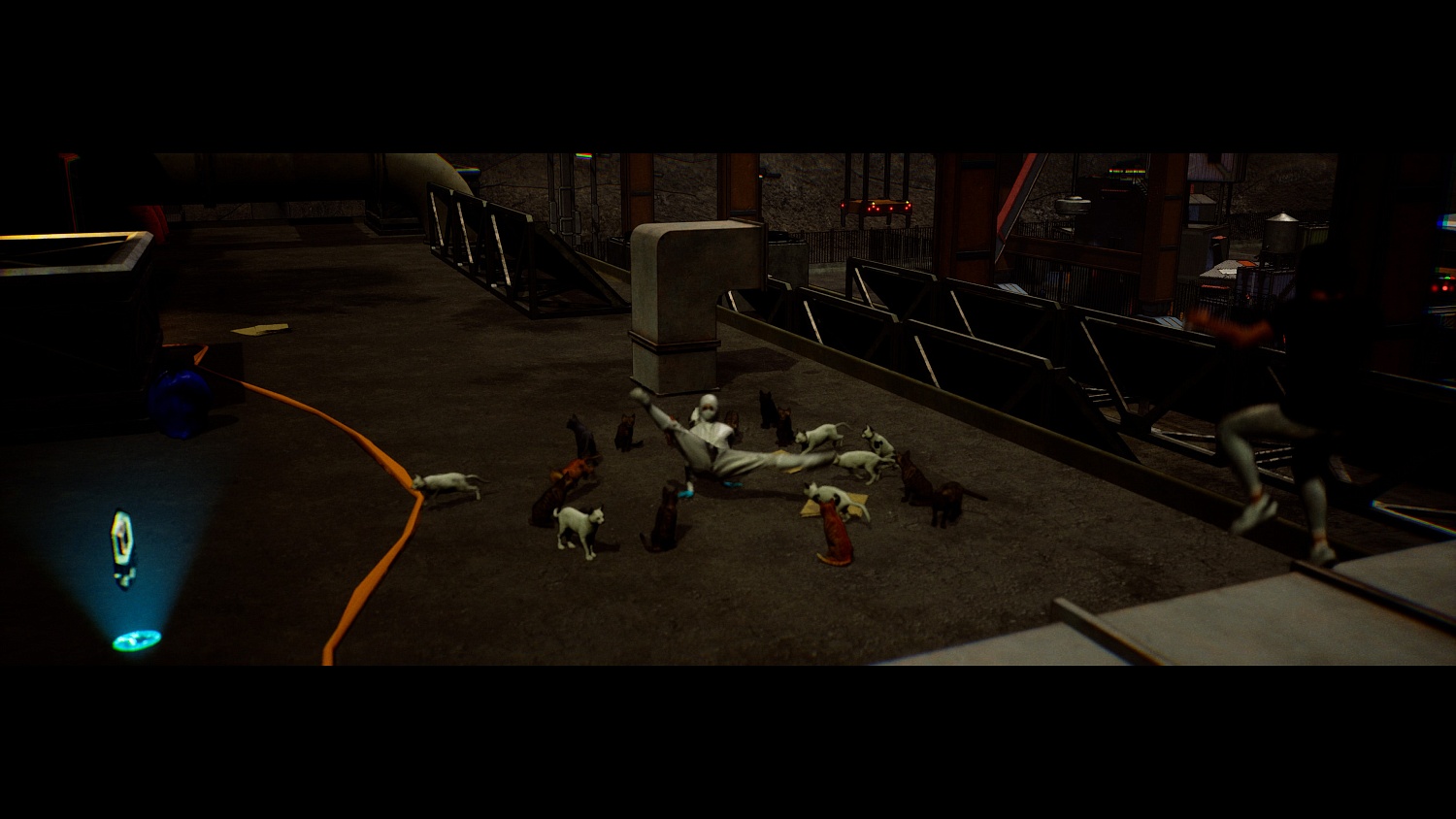 Cats Ritual