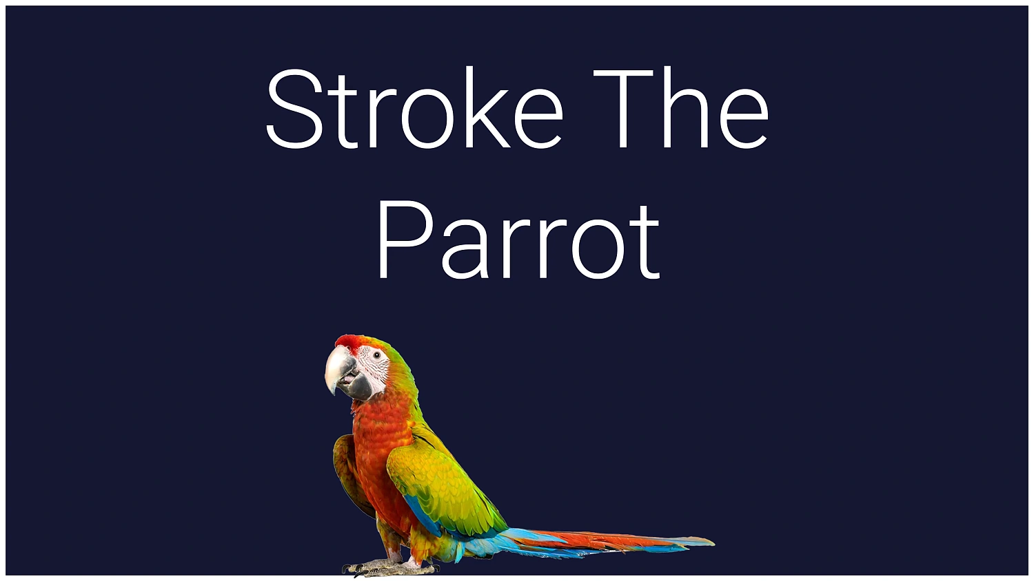 Stroke The Parrot