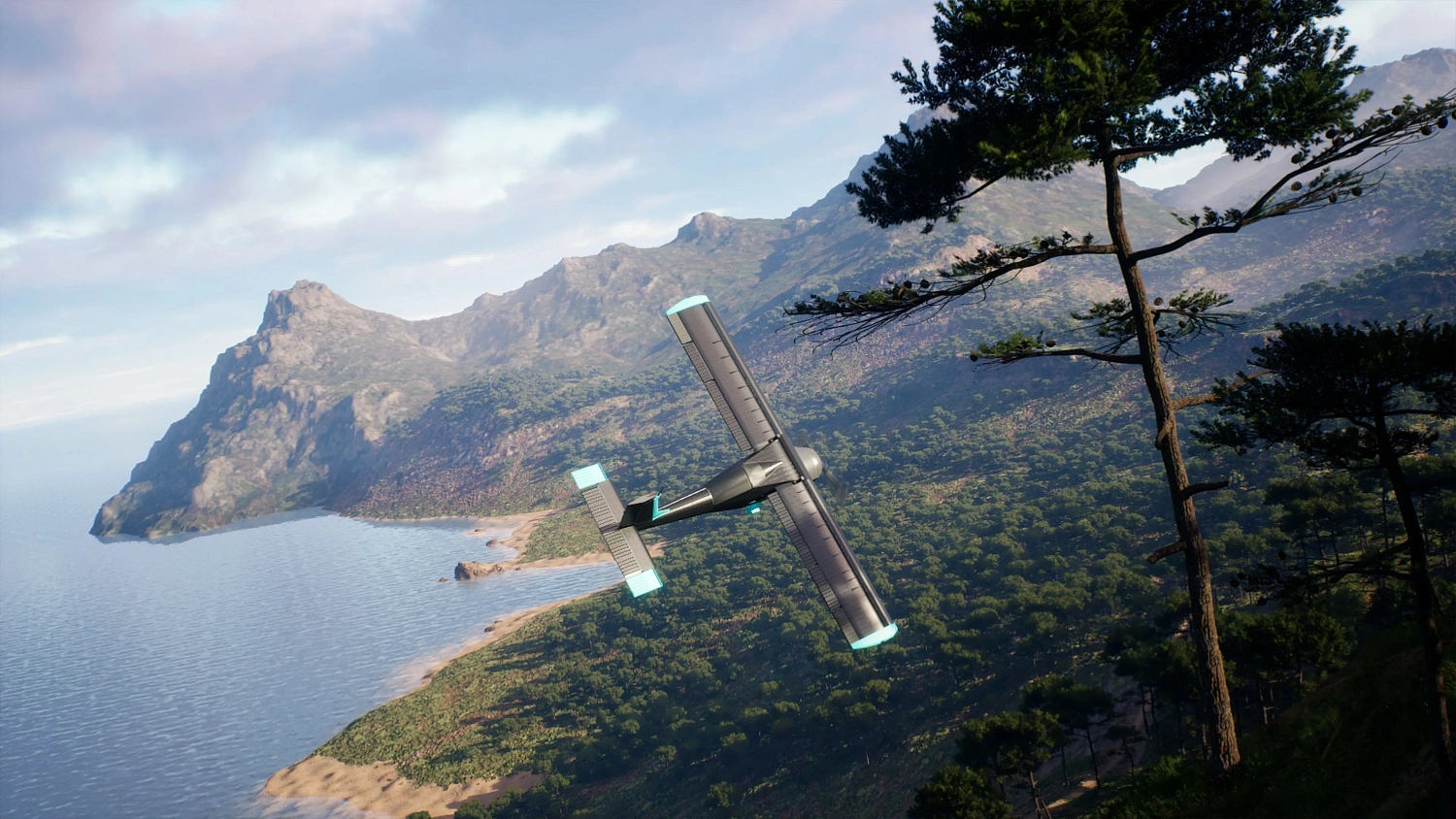 Flight Sim 2025