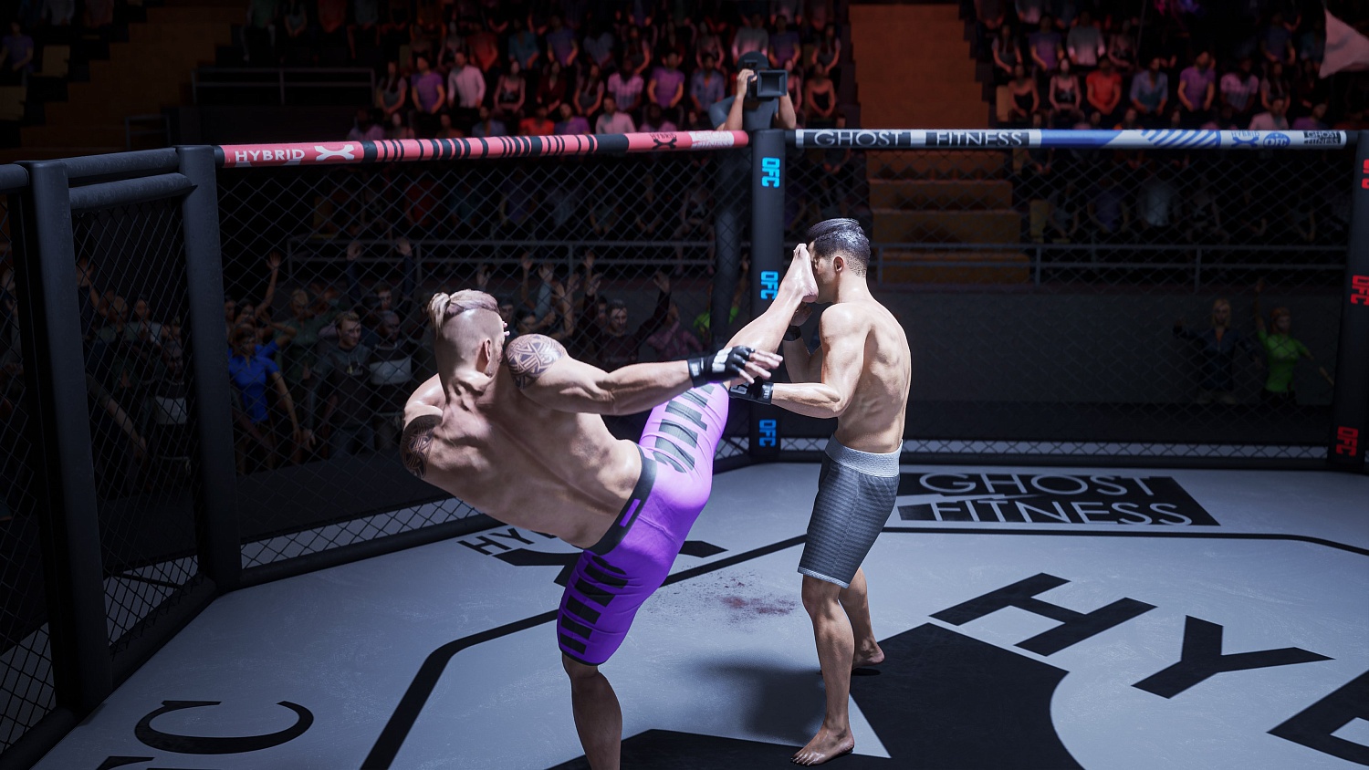 OFC - Ultimate Fighting Club