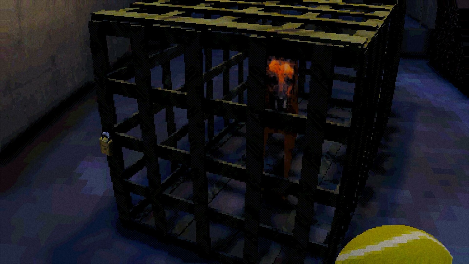 Canine