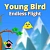 Young Bird Endless Flight