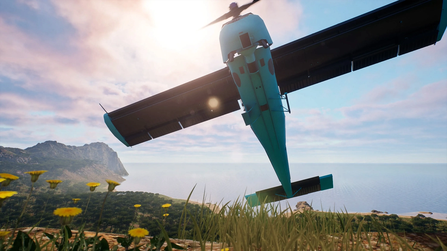 Flight Sim 2025