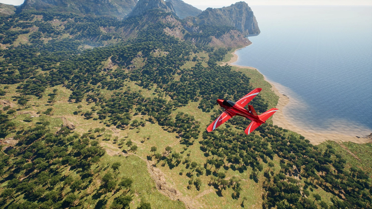 Flight Sim 2025