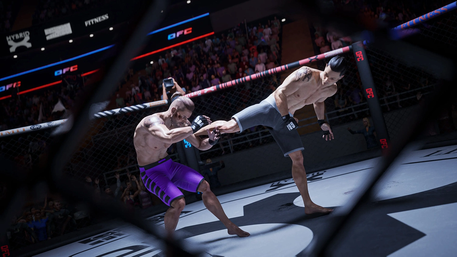 OFC - Ultimate Fighting Club