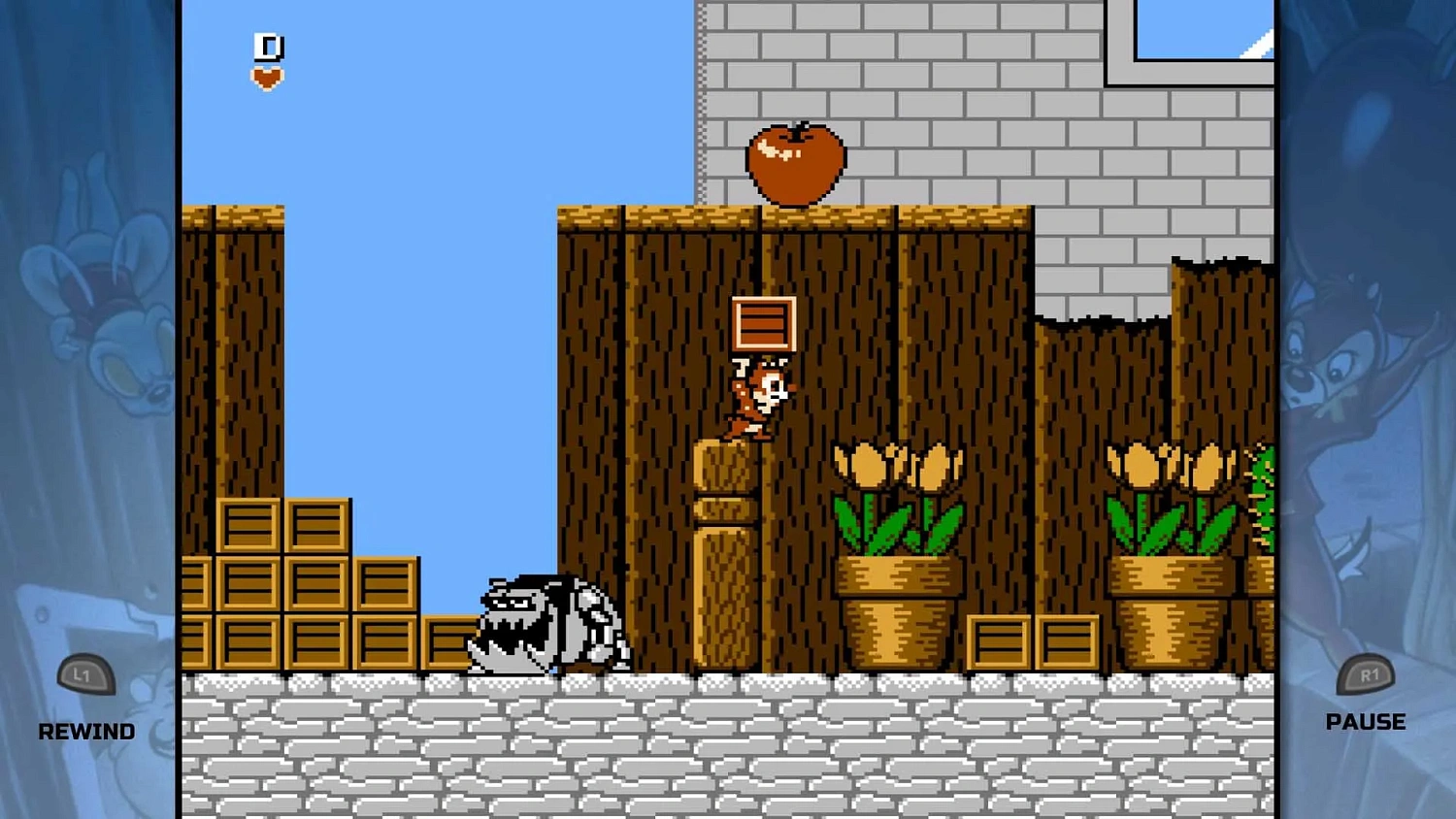 The Disney Afternoon Collection