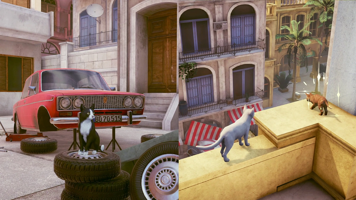 Little Strays