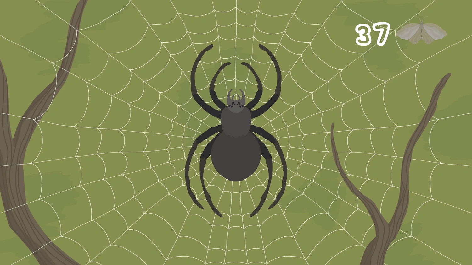 The Spidy D