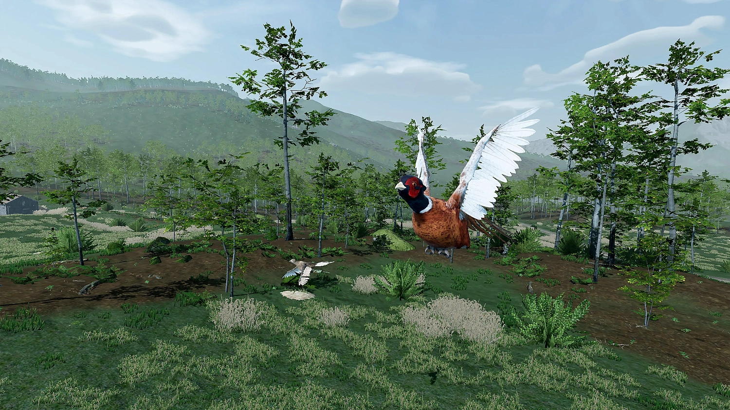 Virtual Hunter