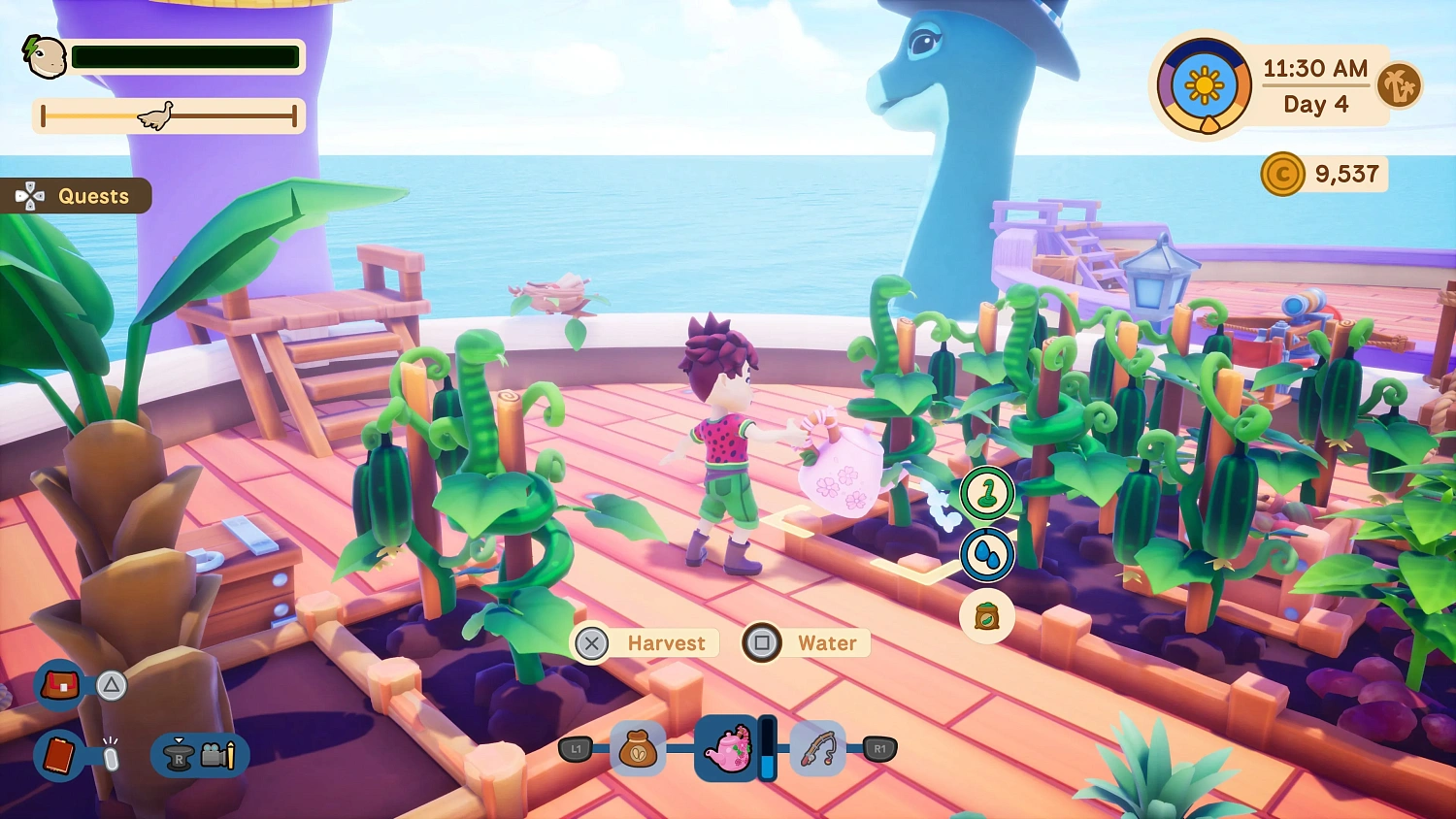 Collector's Cove