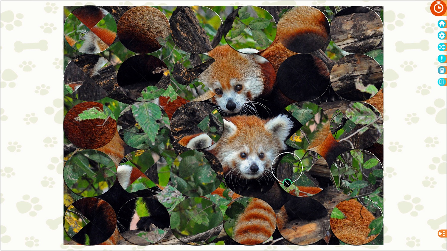Puzzle Escapes: Paws & Claws