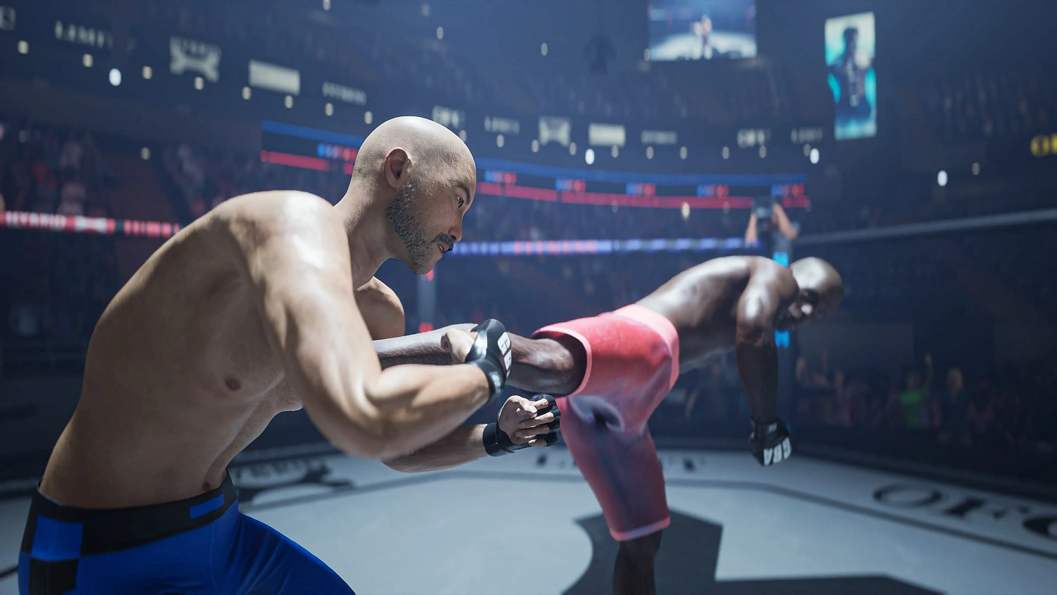 OFC - Ultimate Fighting Club
