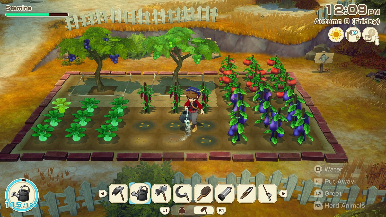Story of Seasons: Grand Bazaar