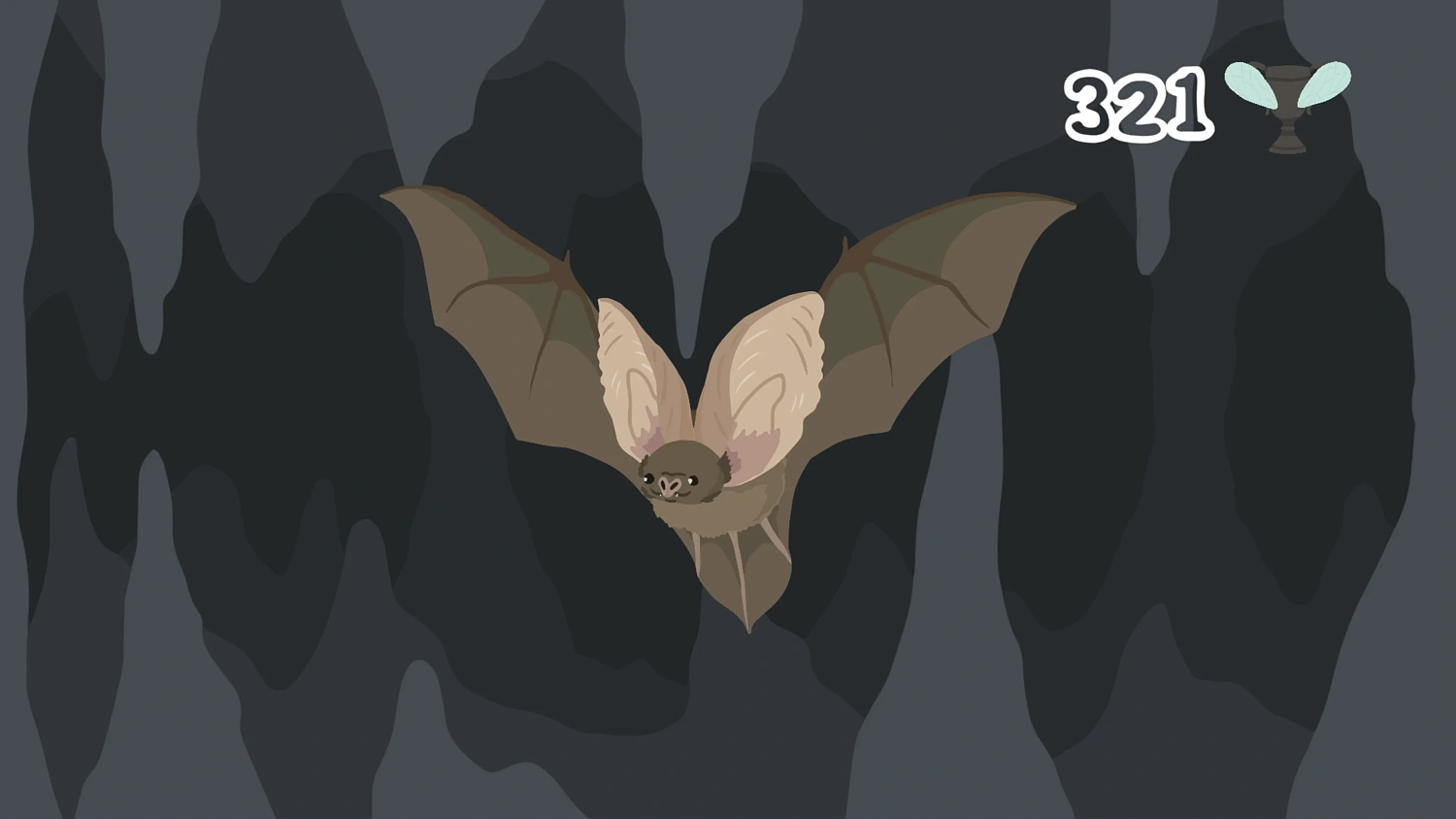 The Bat D