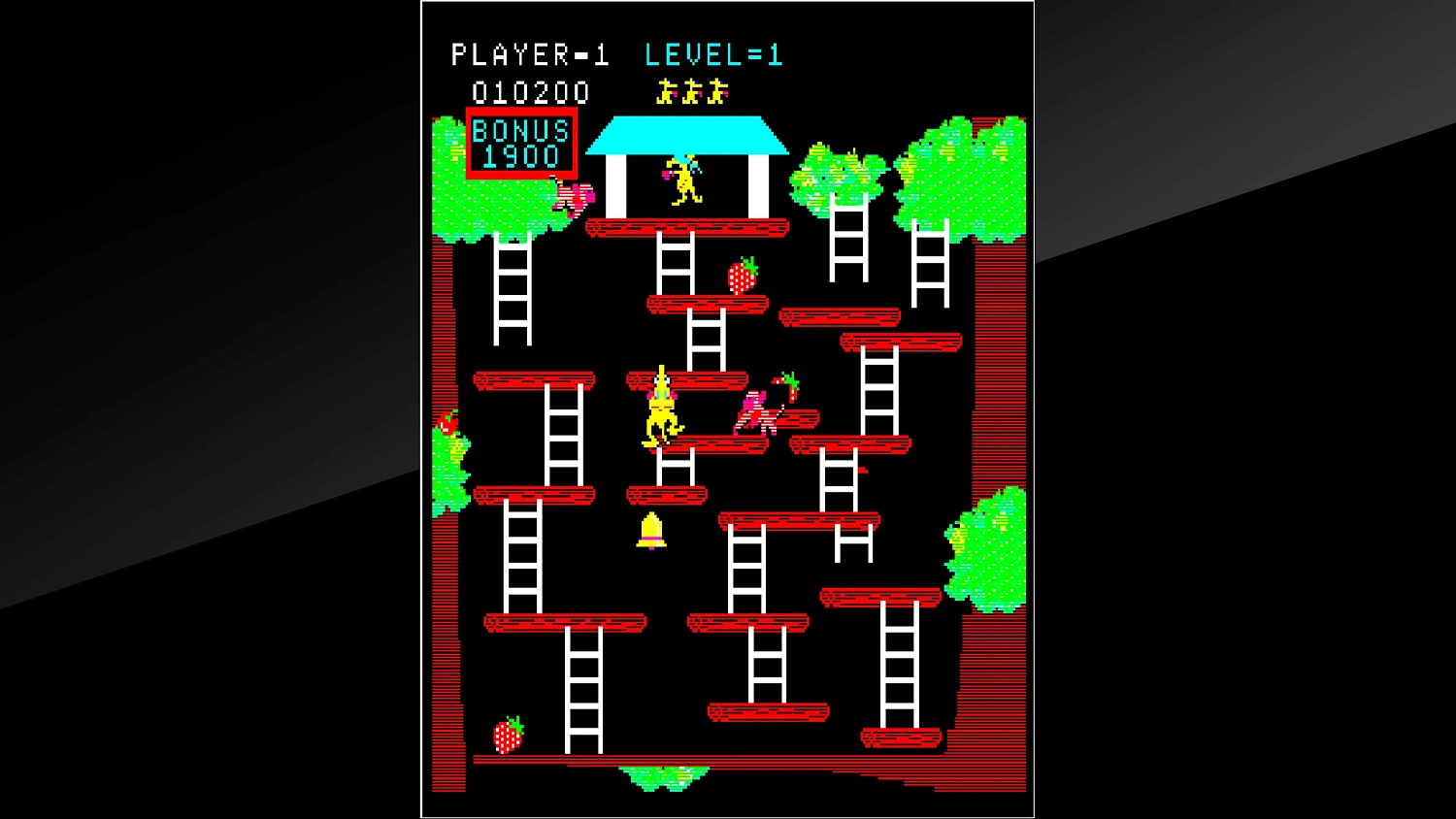 Arcade Archives Kangaroo