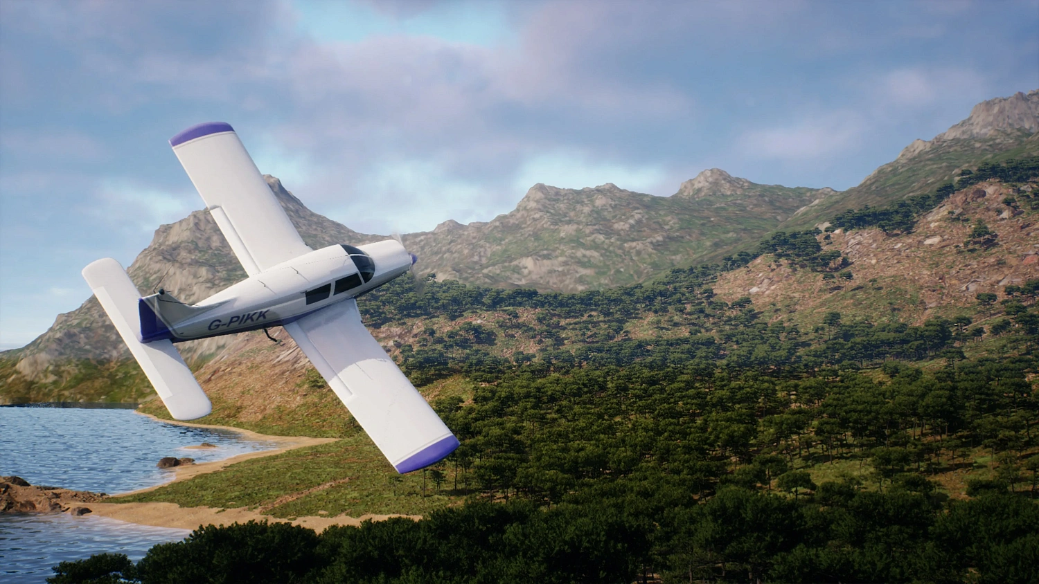 Flight Sim 2025