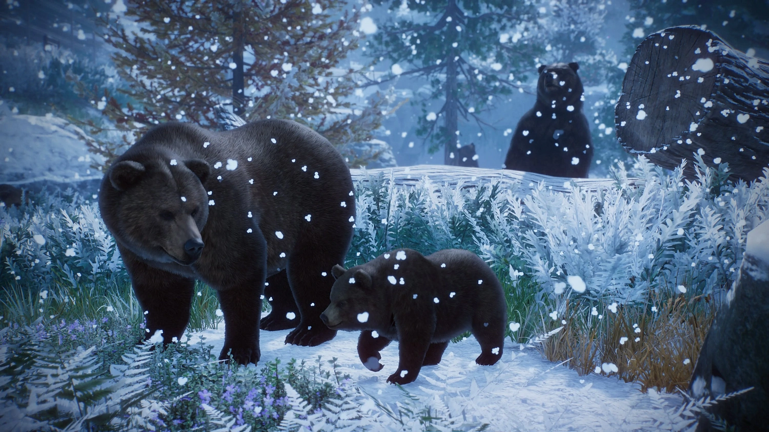 Planet Zoo: Console Edition