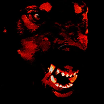 Canine