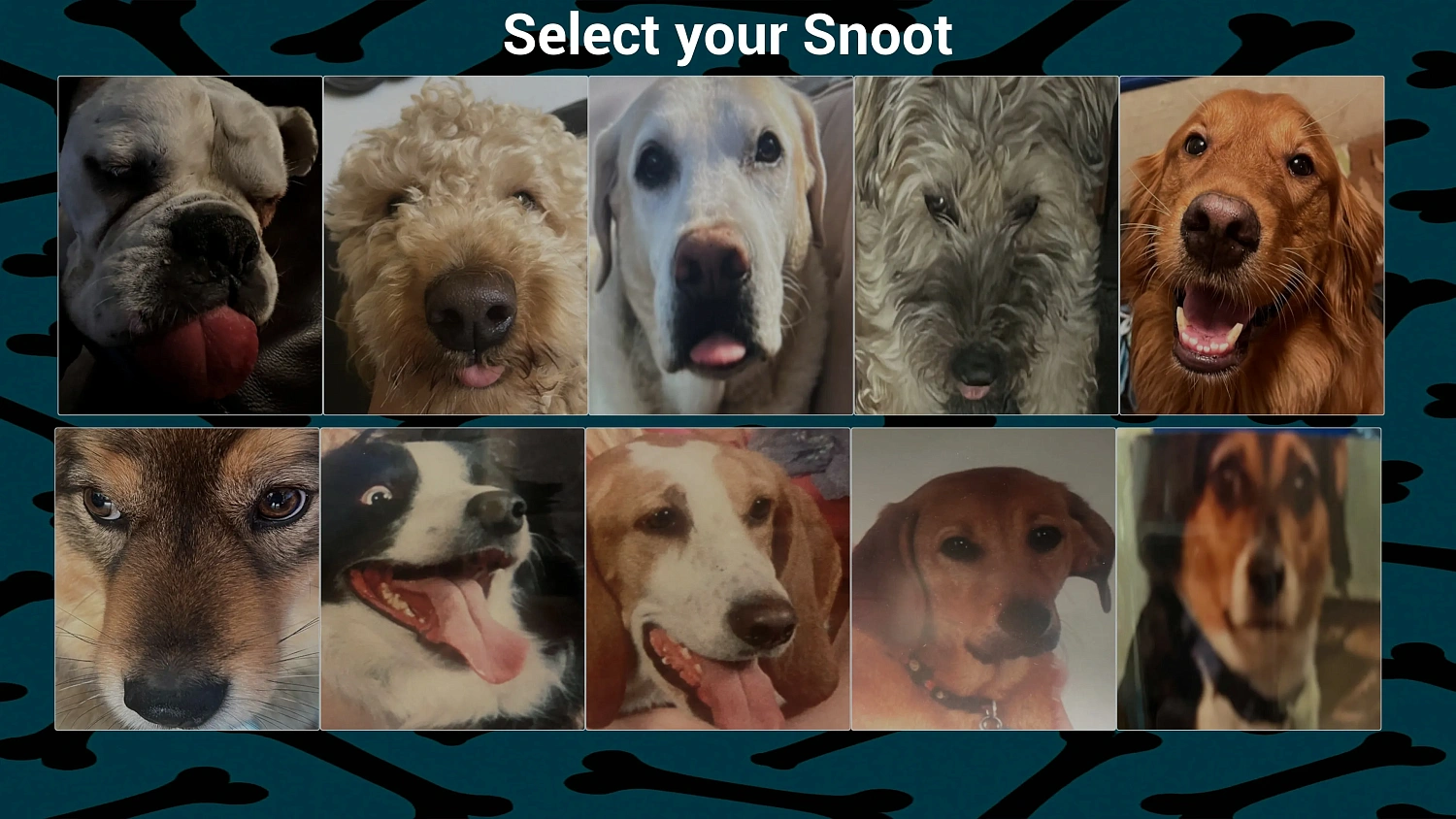 Snoot Booper