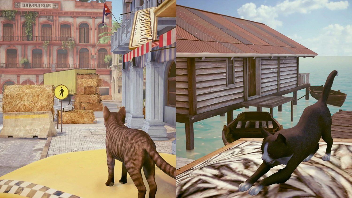 Little Strays